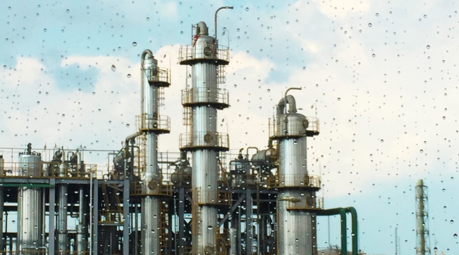 東部化工區(qū)，跳出一只“瞪羚”